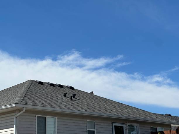 Steel Roofing in Ranlo, NC